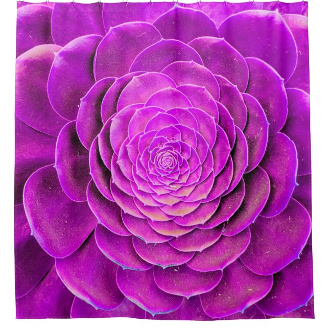 Cortina De Ducha Diseño de la flor de Cactus (Anverso)