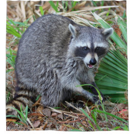 Cortina De Ducha Don't Mind Me, Just Passing Through