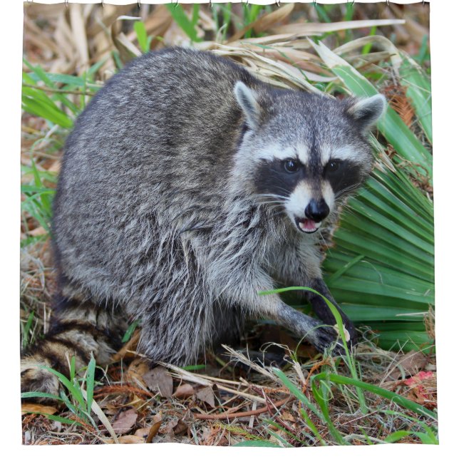 Cortina De Ducha Don't Mind Me, Just Passing Through (Anverso)