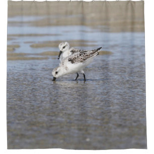 Cortina De Ducha Dos Sanderlings