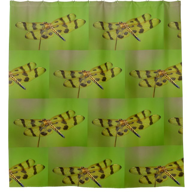 Cortina De Ducha Dragón dorado (Anverso)