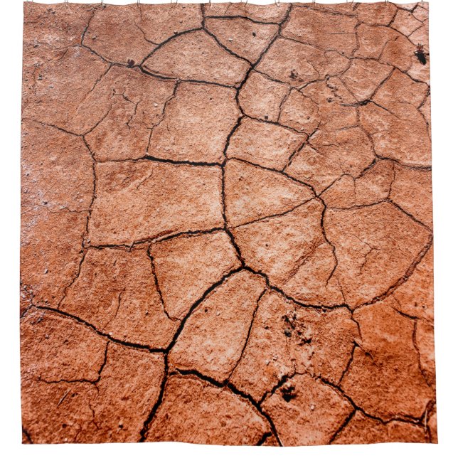 Cortina De Ducha Dried land (Anverso)