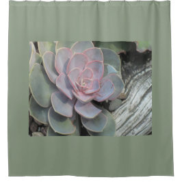Cortina De Ducha Driftwood Echeveria