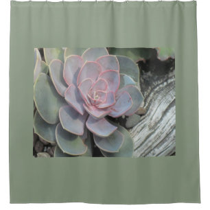 Cortina De Ducha Driftwood Echeveria