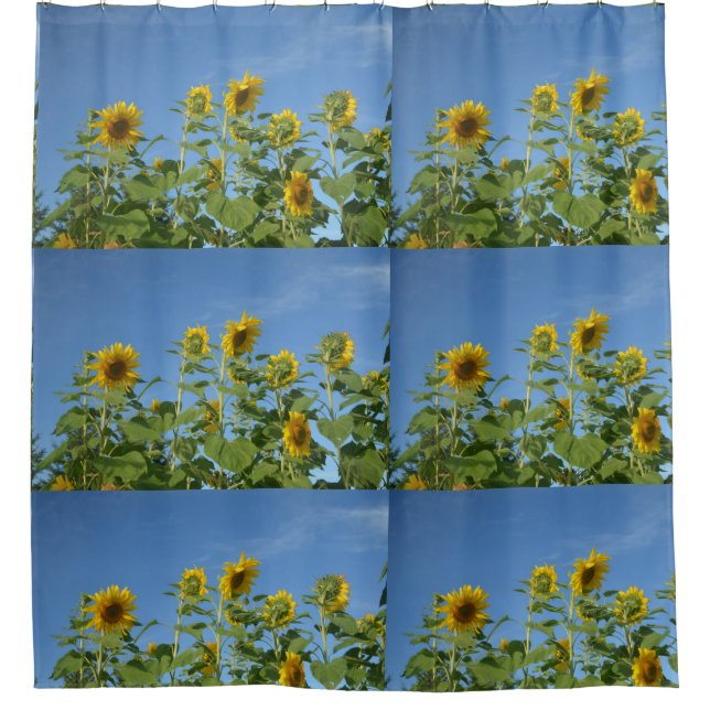 Cortina De Ducha Ducha Cortbella girasoles en cielo azul (Anverso)