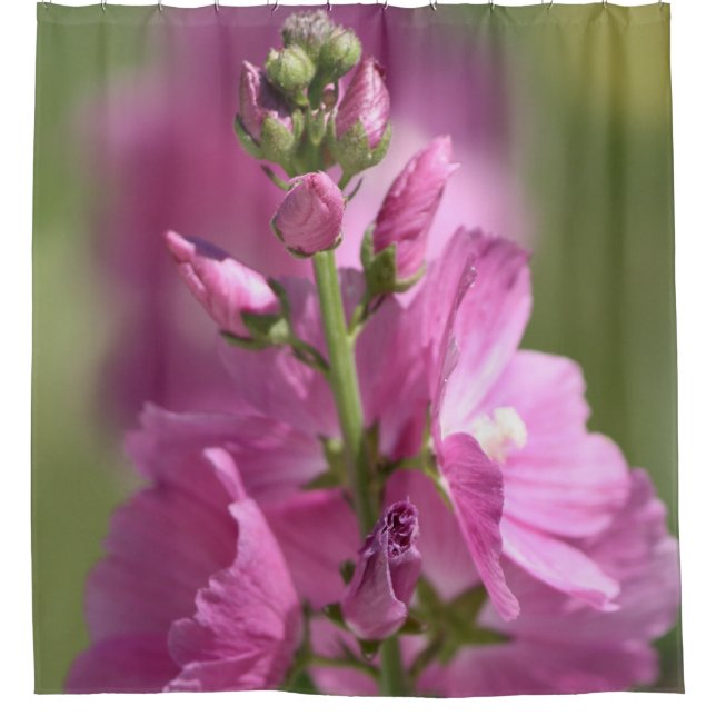 Cortina De Ducha Dusty Mauve (Anverso)