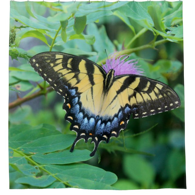 Cortina De Ducha Eastern Tiger Swallowtail Butterfly (Anverso)