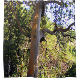 Cortina De Ducha El árbol embrujado.....