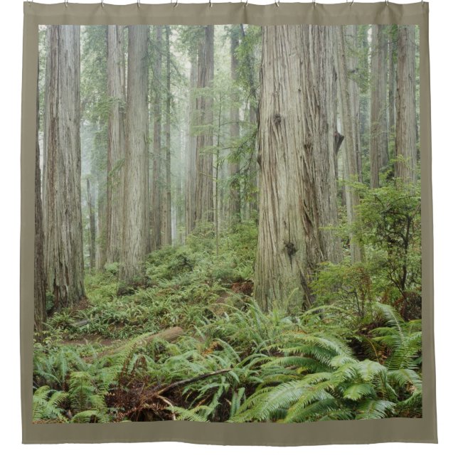 CORTINA DE DUCHA EL BOSQUE (Anverso)