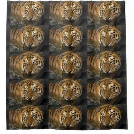 Cortina De Ducha El Destino Del Destino De La Casa De Baño De Ducha