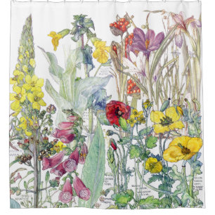 Cortina De Ducha El Foxglove botánico del azafrán florece la