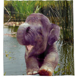 Cortina De Ducha Elefante y agua
