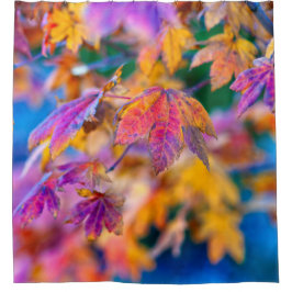 Cortina De Ducha Elegantes hojas de arce japonesas