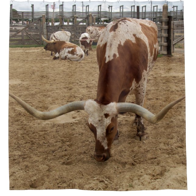 Cortina De Ducha Equipo del MOO (Anverso)