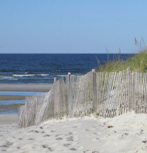 Get Las cortinas de ducha escena de la playa For Android