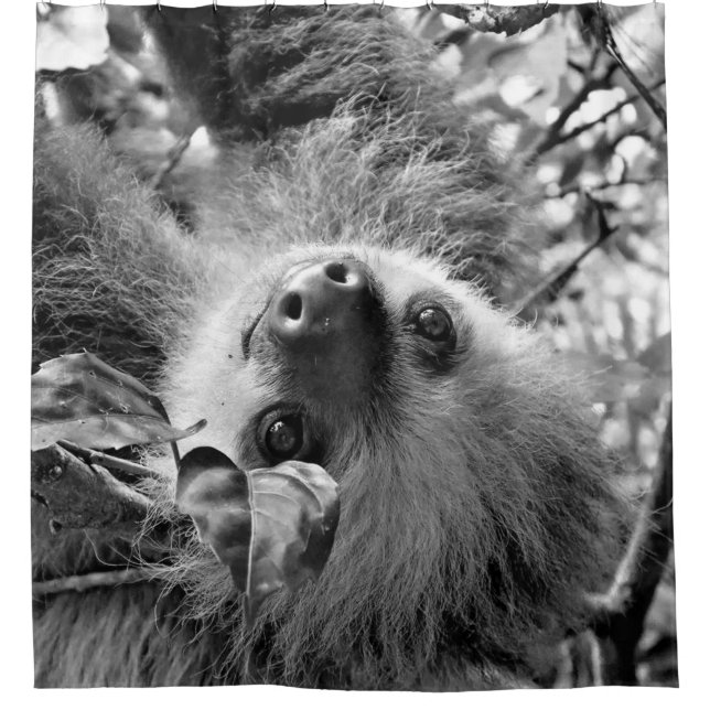 Cortina De Ducha Eslogan (Anverso)