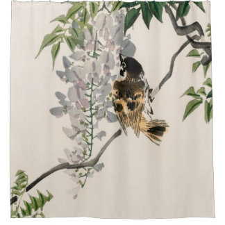 Cortina De Ducha Esparrillada en una rama de Kōno Bairei