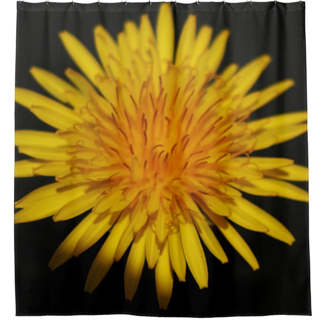 Cortina De Ducha Espectáculo de flores de Dandelion (Anverso)