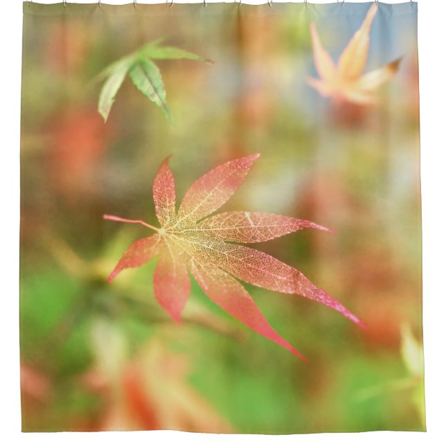 Cortina de ducha Fall Filigree (Anverso)