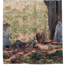 Familia de Perros de la Pradera