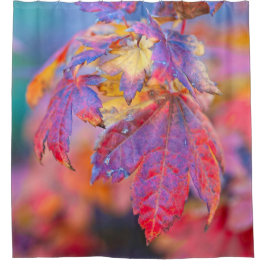 Cortina De Ducha Fascinantes hojas de arce japonesas