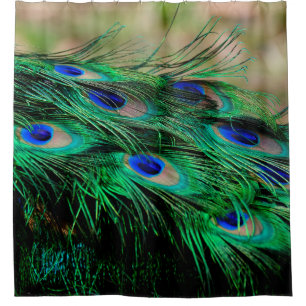 Cortina De Ducha Feathers peacock plumas