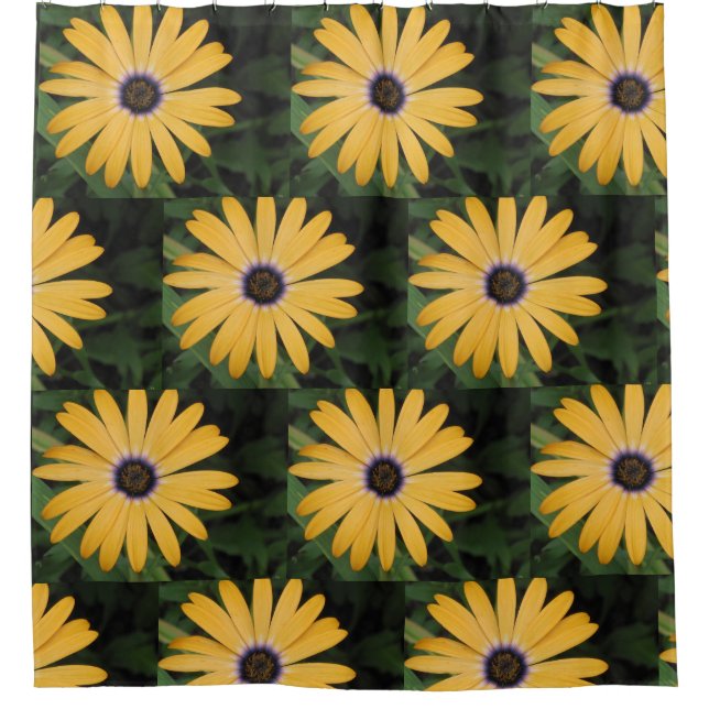 Cortina De Ducha Feliz Daisy (Anverso)