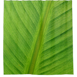 Cortina De Ducha Fibras de plátano de hoja de plátano