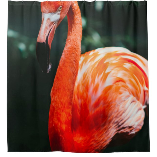 CORTINA DE DUCHA FLAMINGO (Anverso)