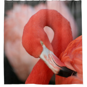 Cortina De Ducha Flamingo 001