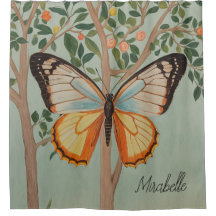 Flexibilidad fluida Personalizada