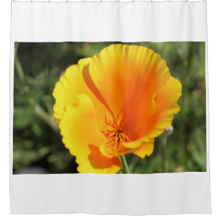 Cortina De Ducha Flor de amapola de California en un jardín