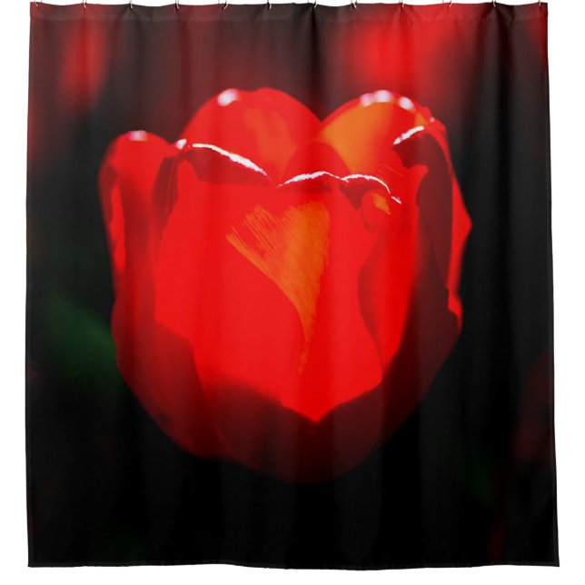 Cortina De Ducha Flor de tulipán rojo - Fuego (Anverso)