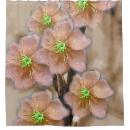 Cortina De Ducha Flor gráfica