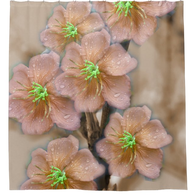 Cortina De Ducha Flor gráfica (Anverso)