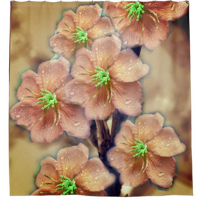 Cortina De Ducha Flor gráfica (Anverso)