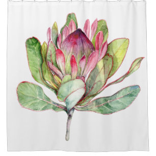Cortina De Ducha Flor Protea