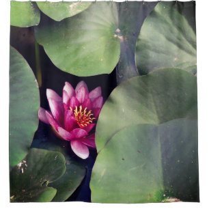 Cortina De Ducha Flor rosa Lotus