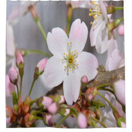 Cortina De Ducha Florecimiento de cerezos