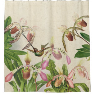 Cortina De Ducha Flores de orquídeas Hummingbird Bird Ladys Slippe