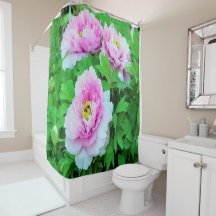Flores Elegantes de Peonía de Árbol Rosa con Centr