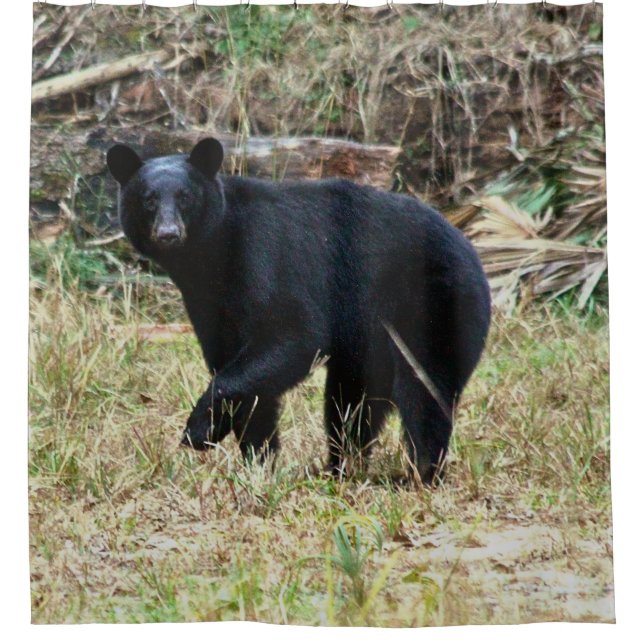 Cortina De Ducha Florida Black Bear (Anverso)