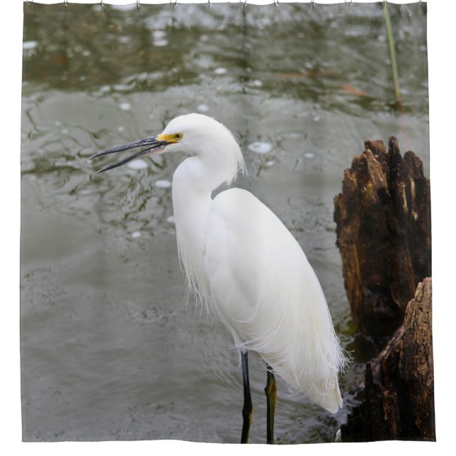 Cortina De Ducha Florida's Singing Egret (Anverso)