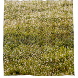 Cortina De Ducha Fondo de hierba verde de primavera fresca, con aro