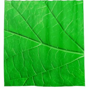 Cortina De Ducha Fondo de la planta de ecología de hoja verde macro