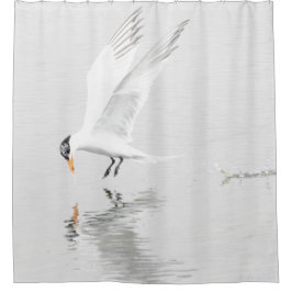 Cortina De Ducha Foster's Tern en vuelo