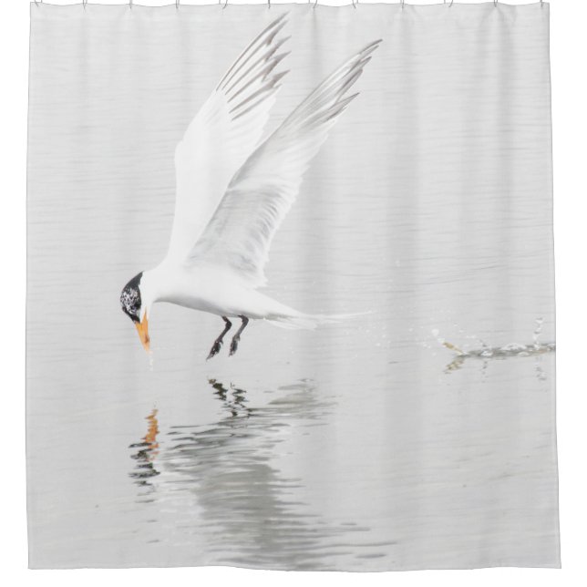 Cortina De Ducha Foster's Tern en vuelo (Anverso)