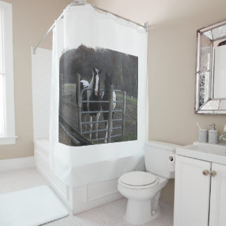 Cortina De Ducha Foto de caballo, deja esta foto o cambia