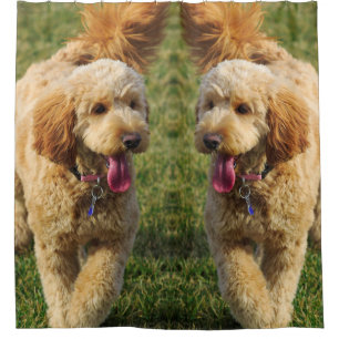 Cortina De Ducha Foto de perro Goldendoodle
