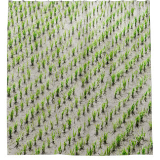 Cortina De Ducha Fotografía aérea de cultivos de arroz durante el d